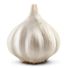 Organic Garlic