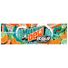 Mountain Dew Soda Pop Baja Cabo Citrus Tropical Punch Soda Cans