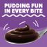 Jell-O Chocolate Fudge Instant Pudding & Pie Filling Mix