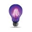 Feit Electric A19 LED Filament Black Lightbulb