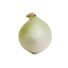 White Jumbo Onions