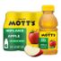 Mott's 100% Original Apple Juice