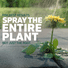 Spruce Weed & Grass Killer Manual Spray