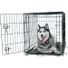 Play On 1 Handle Single Door Dog Crate