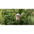 Red River Commodities Hello Birds Morning Bird Blend Bird Seed