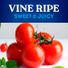 Roma Tomato