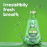 Crest Classic Mouthwash Original Formula, Mint