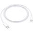 Apple USB-C to Lightning Cable