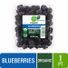 Blueberries Package