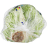 Dole Iceberg Lettuce