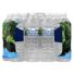 ICE MOUNTAIN Natural Spring Water