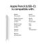 Apple Pencil (USB-C)