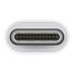 Apple USB-C to USB Adapter