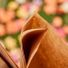 Lowe's Paper Yard Waste Bags