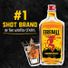 Fireball Cinnamon Whiskey, Cinnamon Whisky, Liquor, 66 Proof
