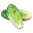 Romaine Lettuce Hearts