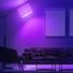 Feit Electric A19 LED Filament Black Lightbulb