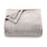 The Big One Super Soft Plush Blanket