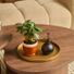 LiveTrends Designs Retrospect Assorted Foliage
