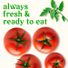 Organic Red On the Vine Tomato
