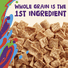 General Mills Cinnamon Toast Crunch Family Size Cereal