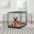 Top Paw Double Door Folding Wire Dog Crate