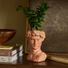 LiveTrends Summer Collection Ceramic Pot - Florentine - Greenhouse Picks