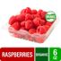 Fresh Organic Red Raspberries