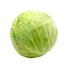 Green Cabbage