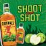 Fireball Blazin' Apple, 200ml 66 Proof