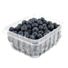 Organic Blueberries Package