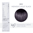 ion Permanent Crème Hair Color - 2VV Midnight Violet Black