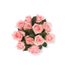 Bloom Haus Pink Roses
