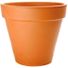 Buzzy 10.83" x 12.402" x 11.5" Terracotta Clay Outdoor Pot