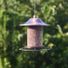 Red River Commodities Hello Birds Wild Bird Seed Ready-to-Use Bird Seed