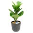Artificial Fig Plant In Ceramic Pot, Large - Black
