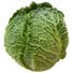 Savoy Cabbage