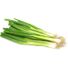 Organic Green Onions