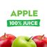Juicy Juice Apple 100% Juice