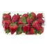 Strawberries Package