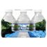 ICE MOUNTAIN Natural Spring Water