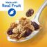 Kellogg’s Raisin Bran Crunch Cereal Cup