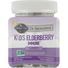 Garden of Life Kids Elderberry Immune, Gummies, Berry Flavor