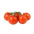 Tomatoes on the Vine, Greenhouse Grown