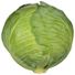 Organic Green Cabbage