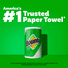 Bounty Paper Towels Select-A-Size