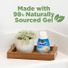 Renuzit Gel Air Freshener Forever Raspberry