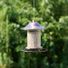 Red River Commodities Hello Birds Bird Seed