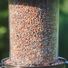 Red River Commodities Hello Birds Wild Bird Seed Ready-to-Use Bird Seed