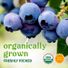 Blueberries Package